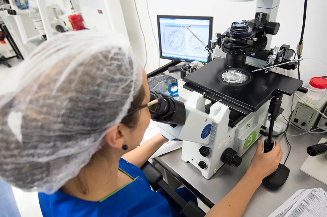 Ingenes specialized laboratory where fertility diagnostic studies are processed
