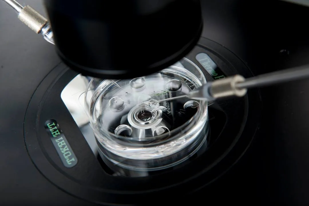 Ingenes embryologist working in the In Vitro Fertilization laboratory