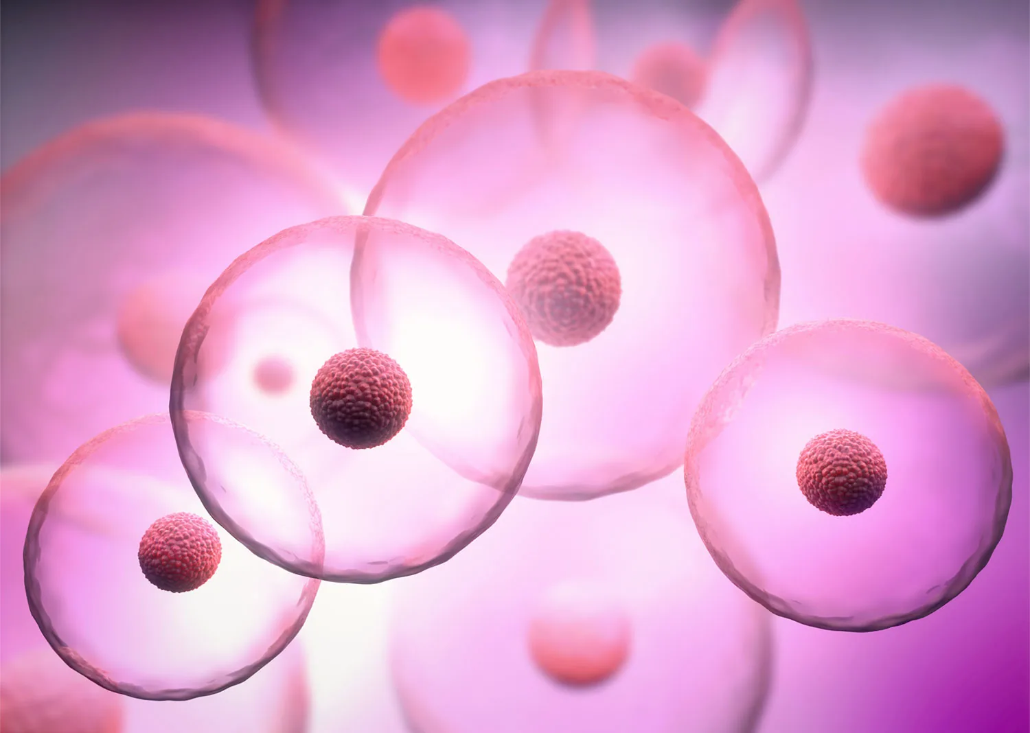 Análisis genético-metabólico de células de la cúmula: la base del Score de Implantación de Ingenes