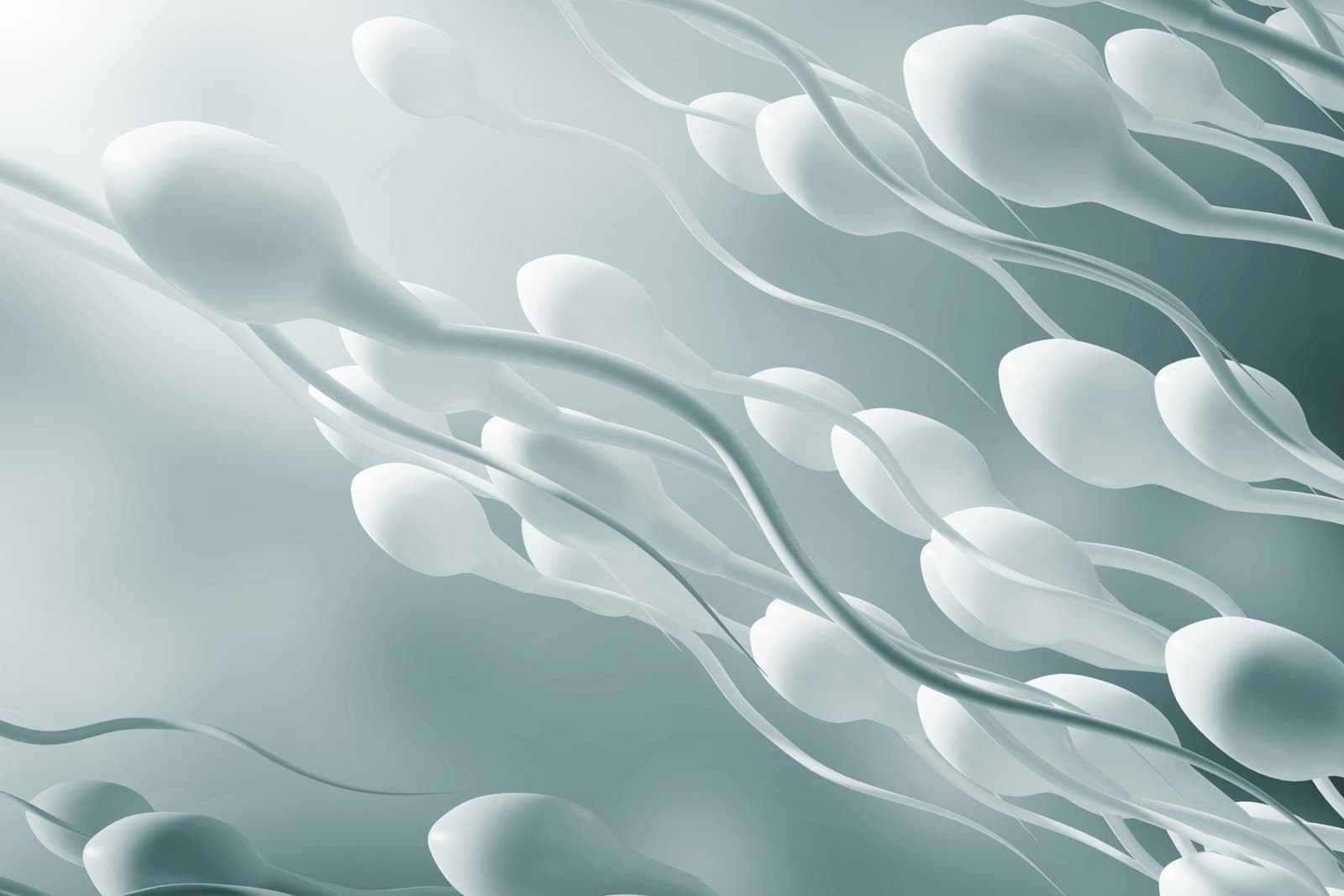 Sperm Donation Bank Mexico