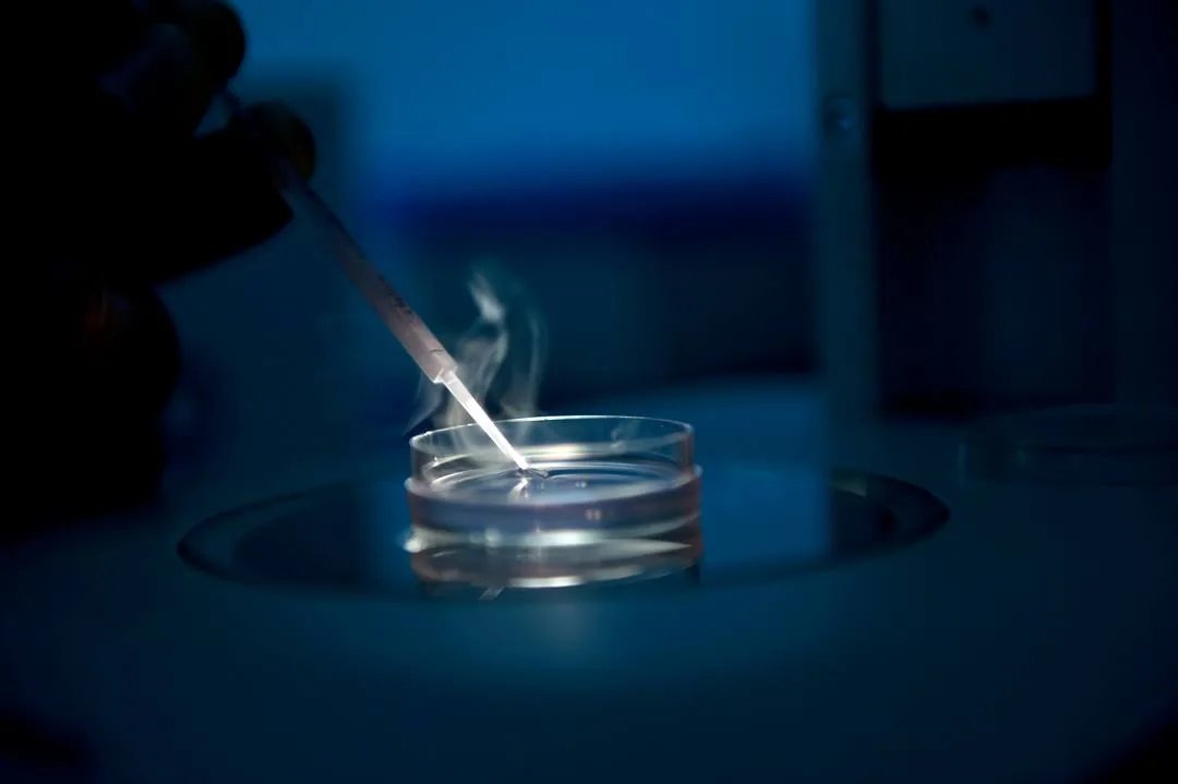 Embriólogo trabajando con placa de PICSI en el laboratorio de Ingenes