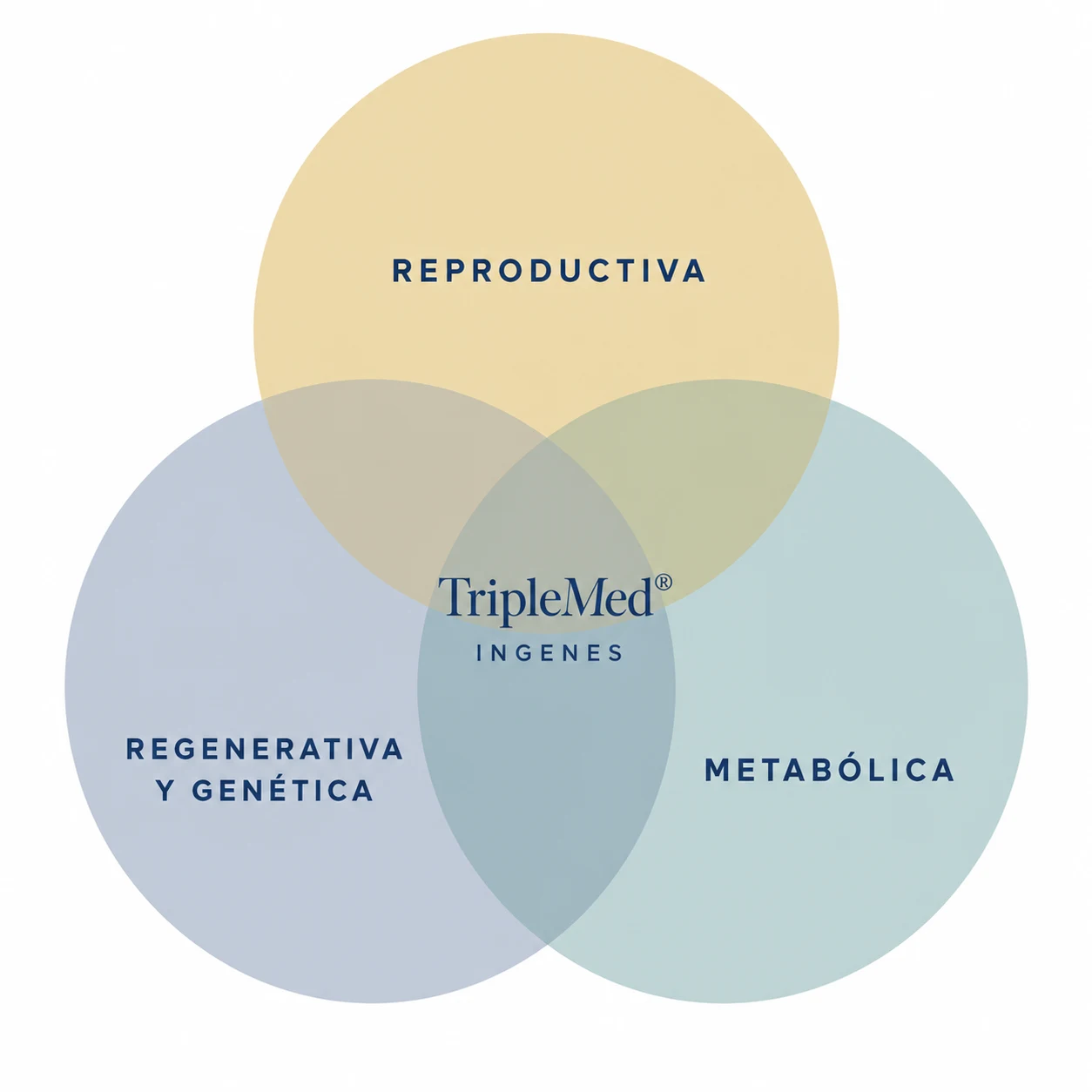 Diagrama TripleMed® de Ingenes: la medicina reproductiva, la regenerativa y genética, y la metabólica convergen en un mismo enfoque