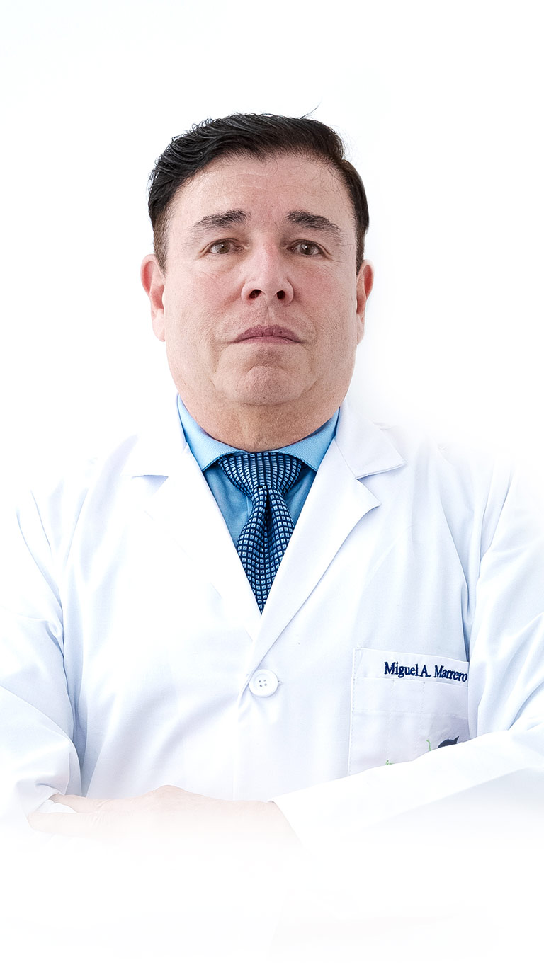 Dr. Miguel Marrero | Ingenes